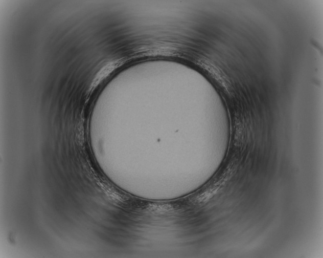 X0000097820978200804041355