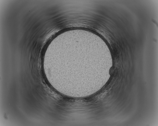 X0000097820979200804041355