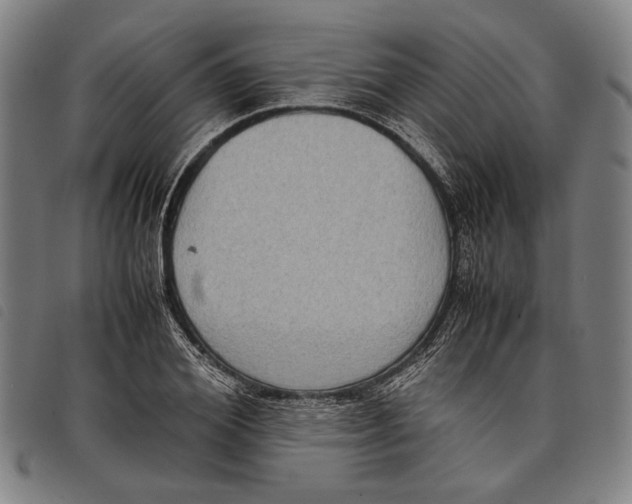 X0000097820980200804041355