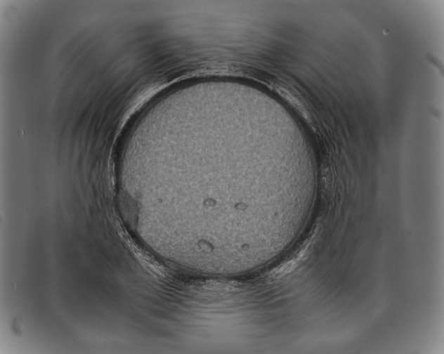 X0000097820981200804041355