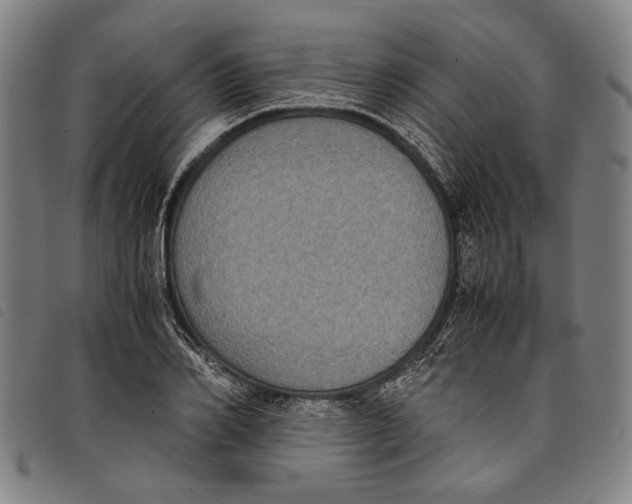 X0000097820982200804041355