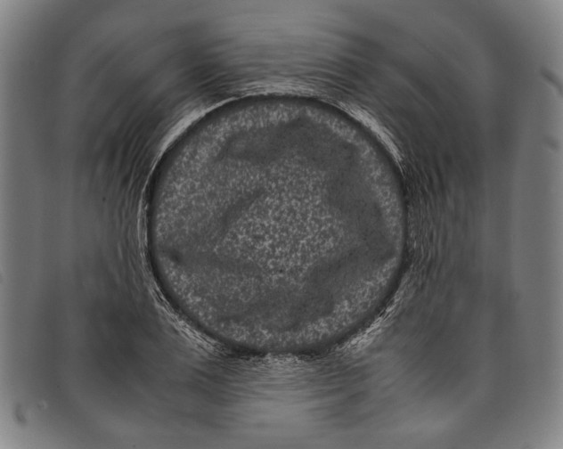 X0000097820983200804041355