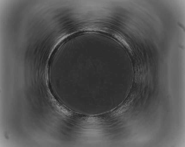 X0000097820984200804041355