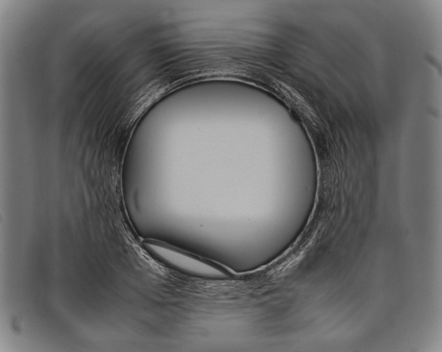 X0000097820985200804041355