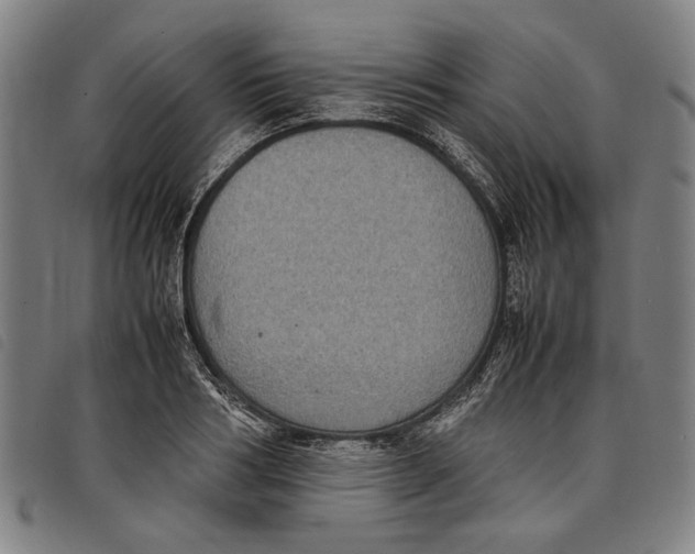 X0000097820986200804041355