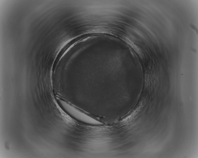 X0000097820988200804041354