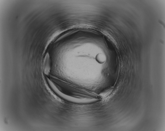 X0000097820989200804041354