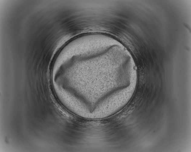 X0000097820990200804041354