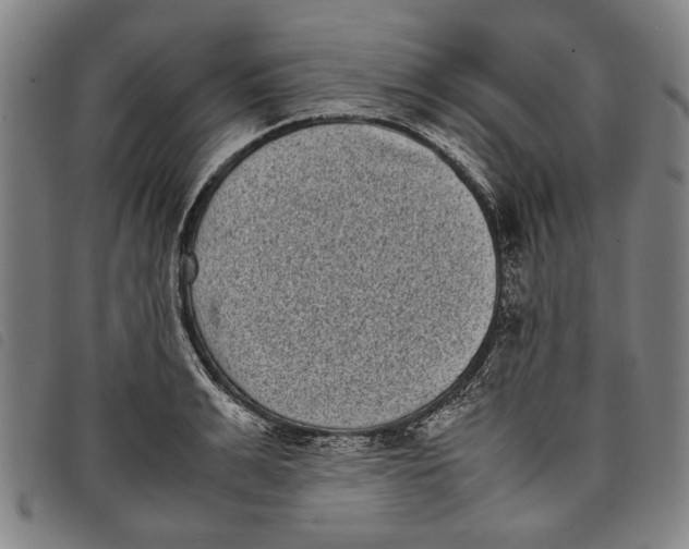 X0000097820991200804041354