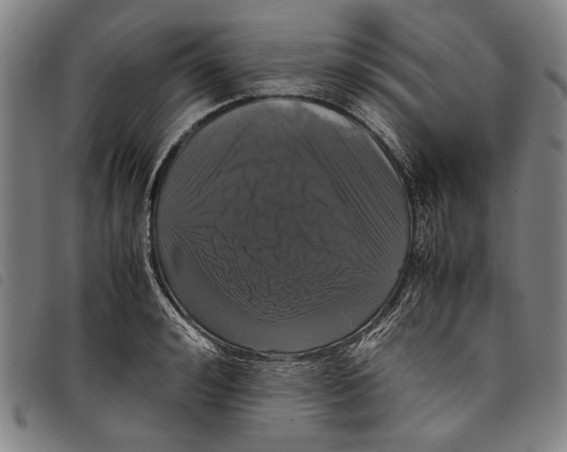 X0000097820992200804041354