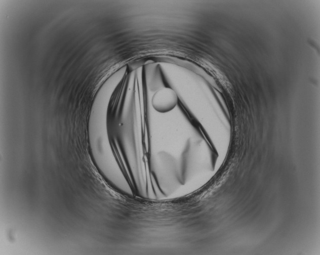 X0000097820993200804041354