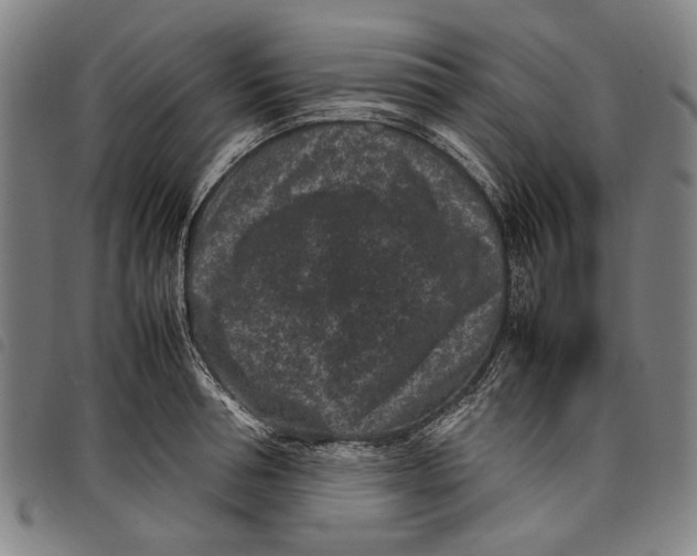 X0000097820994200804041354