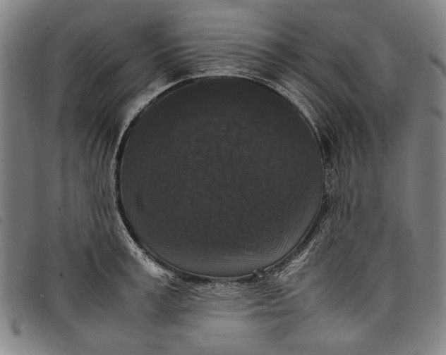 X0000097820995200804041354