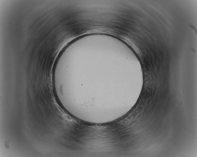 X0000097820996200804041354