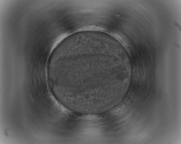 X0000097820998200804041354