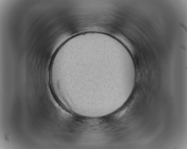 X0000097820999200804041354