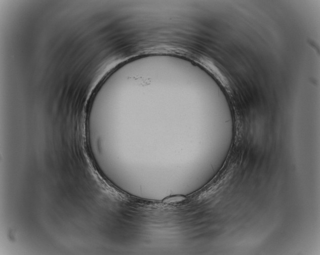 X0000097821000200804041354