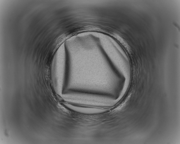 X0000097821001200804041354