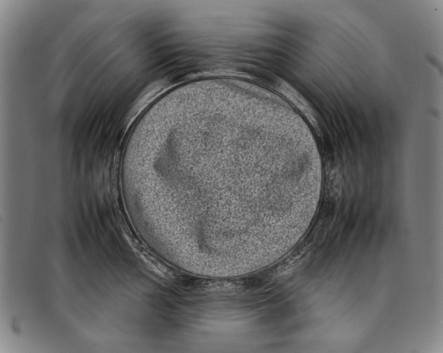 X0000097821002200804041354