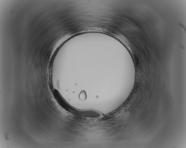 X0000097821003200804041354