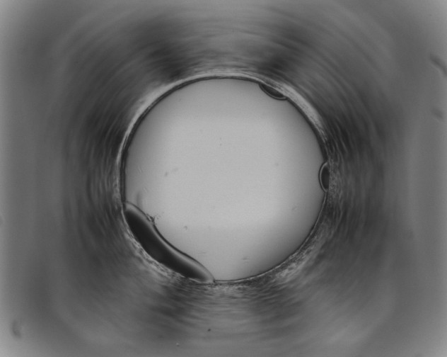 X0000097821004200804041354