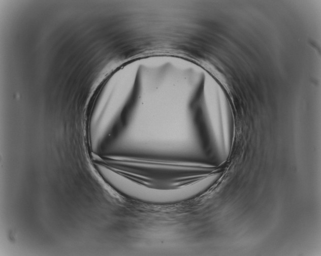 X0000097821005200804041354