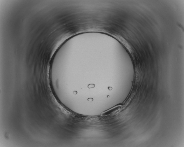 X0000097821006200804041354