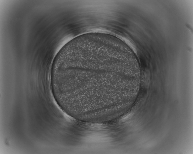 X0000097821007200804041354