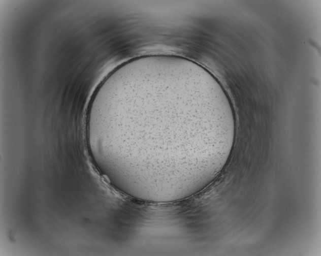 X0000097821008200804041354