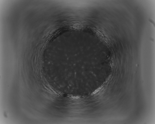 X0000097821009200804041354