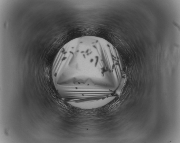 X0000097821010200804041354