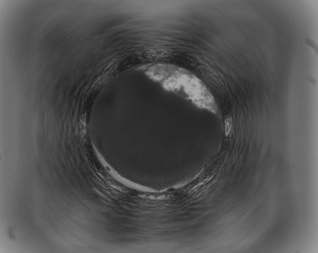 X0000097821011200804041354