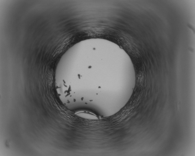 X0000097821012200804041354