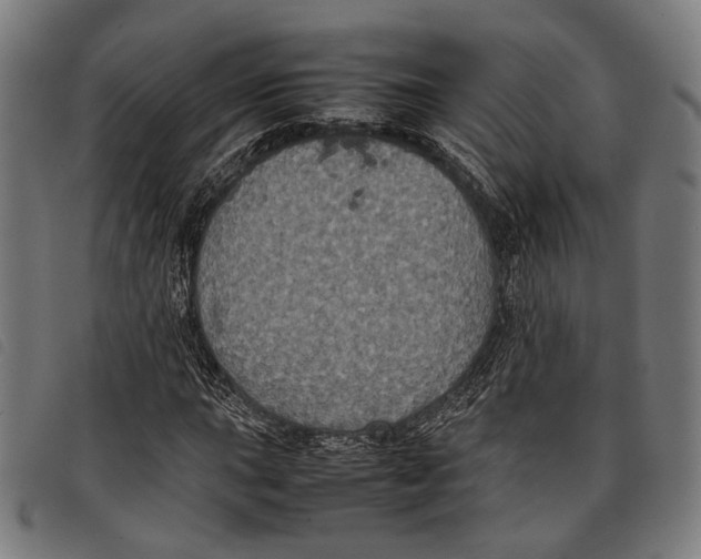 X0000097821015200804041354