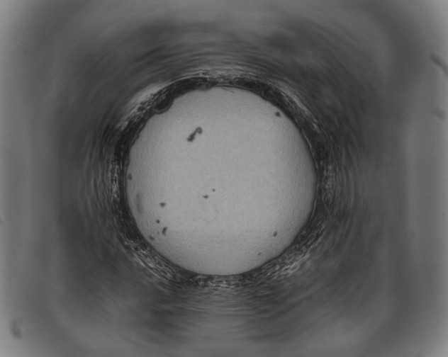 X0000097821016200804041354