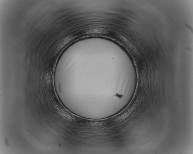 X0000097821017200804041354