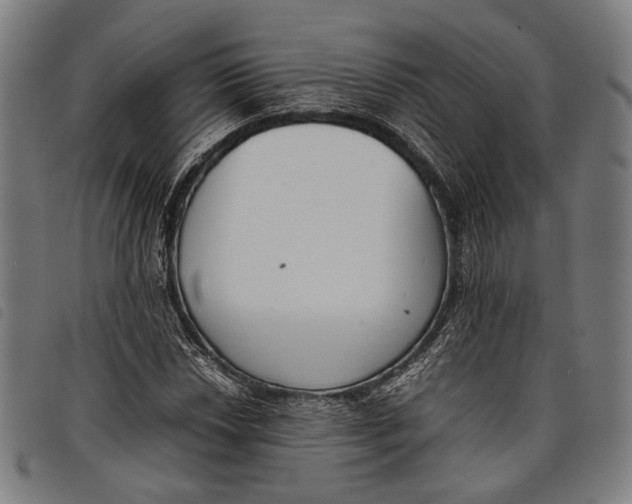 X0000097821018200804041354