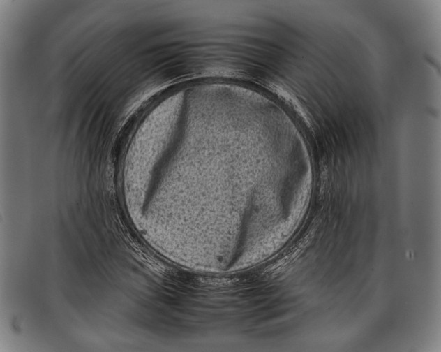 X0000097821019200804041354