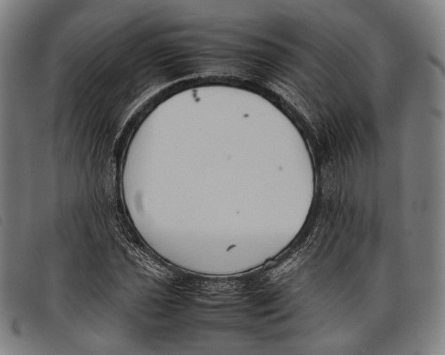 X0000097821021200804041354