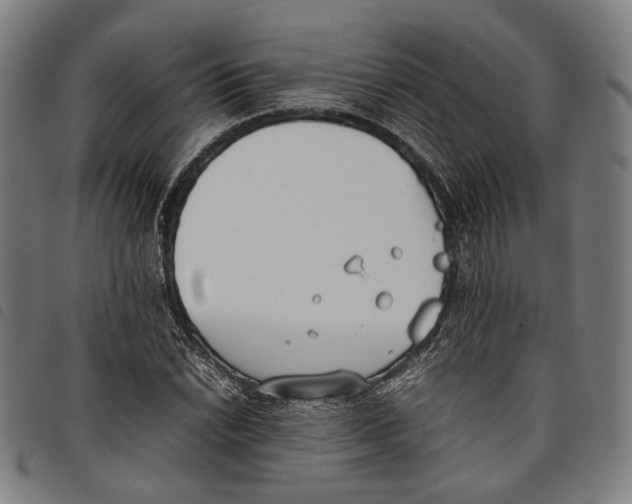 X0000097821022200804041354