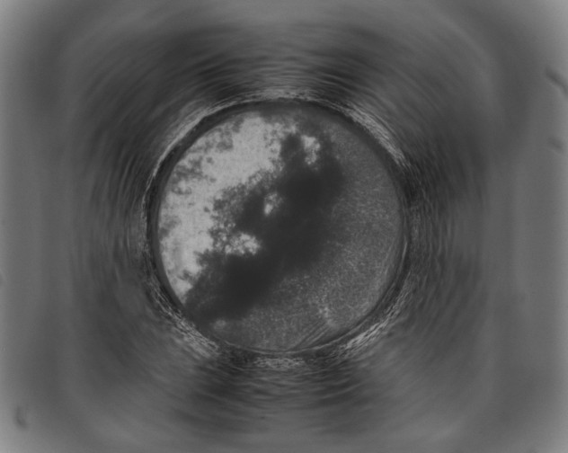 X0000097821023200804041354