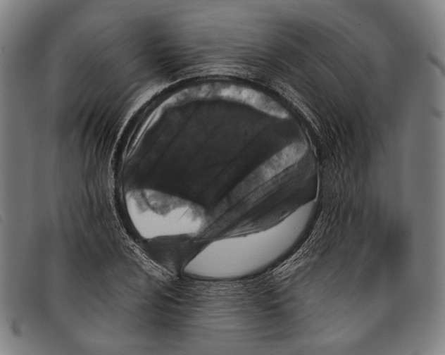 X0000097821024200804041354