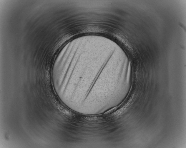 X0000097821025200804041354