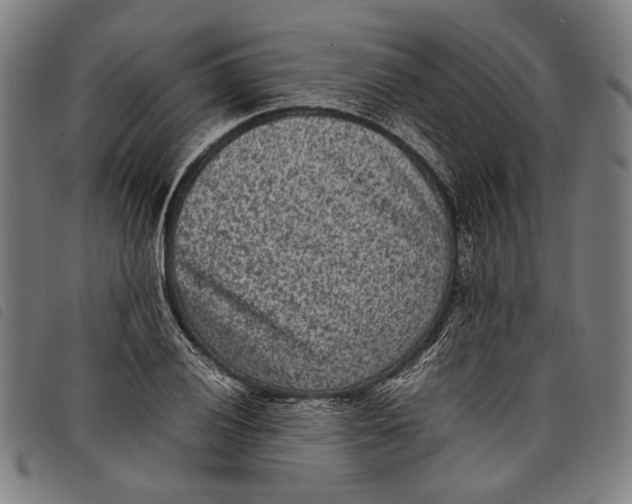 X0000097821028200804041354