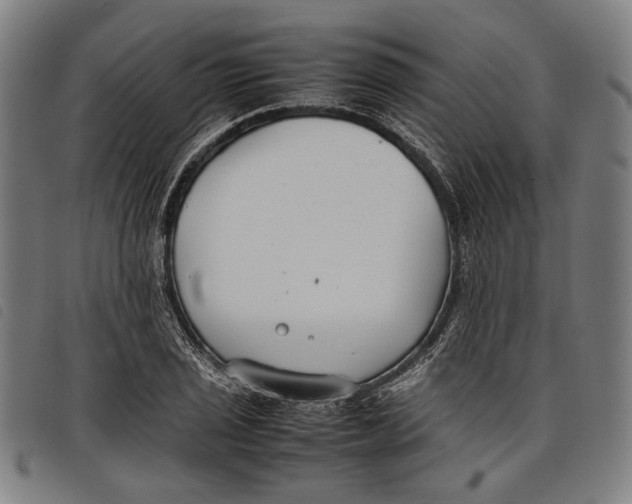 X0000097821029200804041354