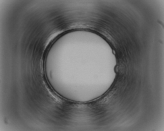 X0000097821030200804041354