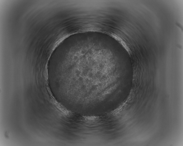 X0000097821031200804041354