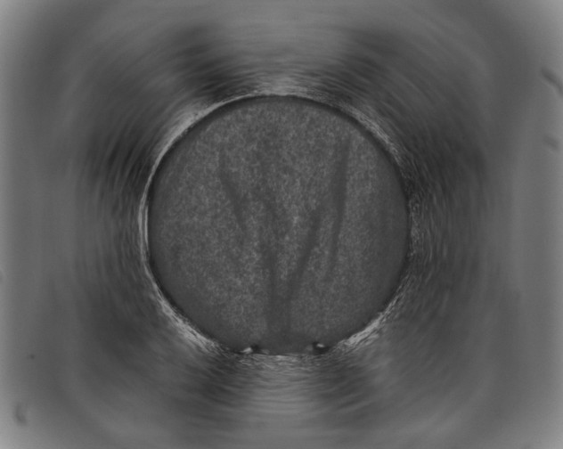 X0000097821032200804041354