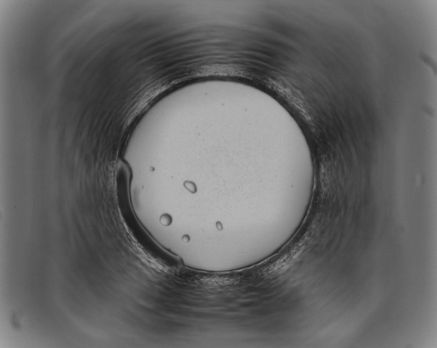 X0000097821033200804041354