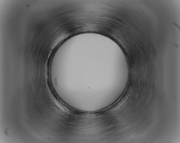 X0000097821034200804041354